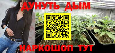 сатива Анапа