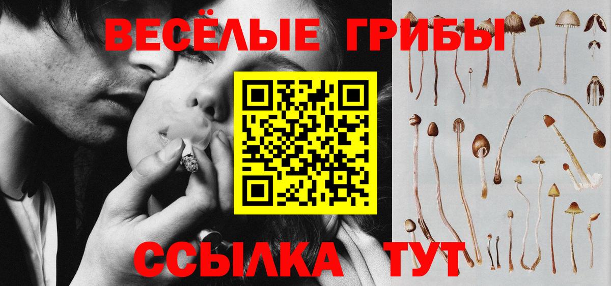 Ижевск  как найти закладки  Вход с VPN  Псилоцибиновые грибы Psilocybe 